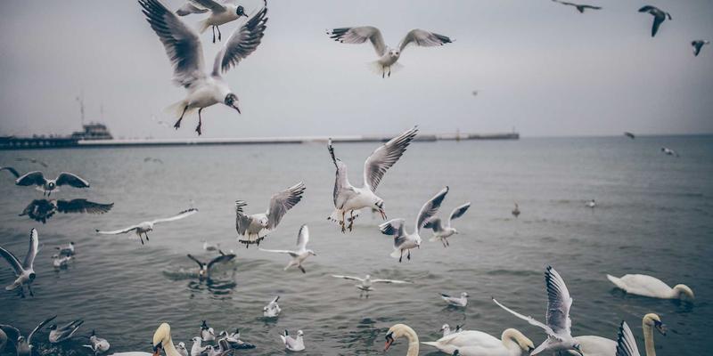 北京盛世英才：AI+大数据如何重塑人才画像，引领猎头服务精准革命