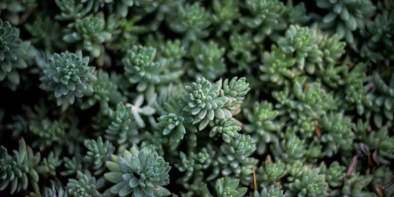 竞业协议的双刃剑：北京盛世英才视角下，如何以合规智慧锁定高端人才