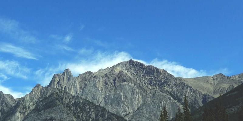 精准赋能：北京盛世英才如何为初创与独角兽企业定制轻量级精英猎头方案