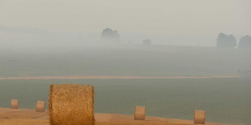 解码未来：北京盛世英才如何运用大数据重塑高端人才猎寻与精准匹配